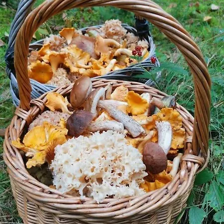 Gute Stube Im Schlaubetal * Grunow-Dammendorf