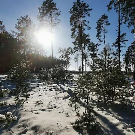 Gute Stube Im Schlaubetal Apartment *