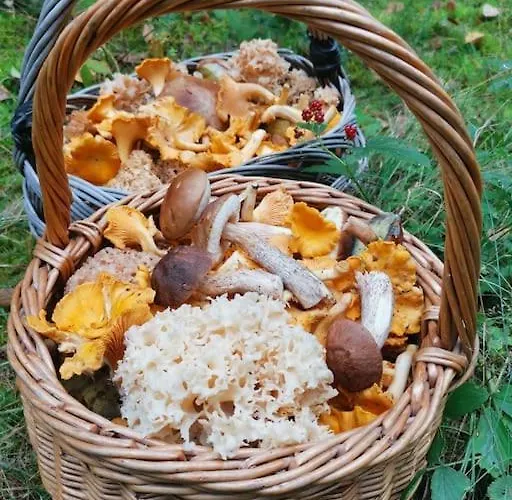 Gute Stube Im Schlaubetal * Grunow-Dammendorf