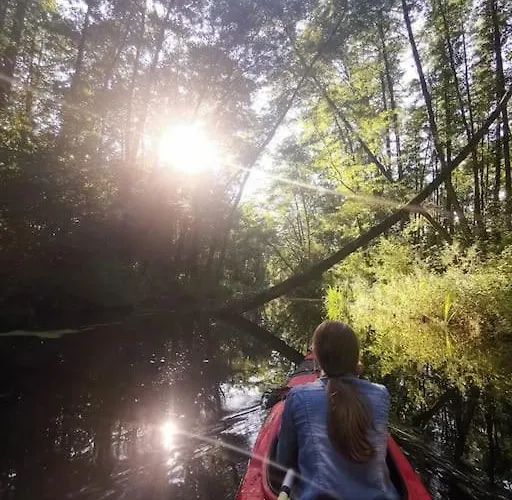 Lejlighed Gute Stube Im Schlaubetal