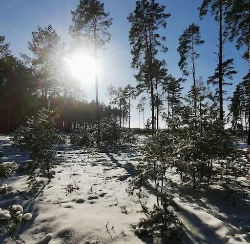 Gute Stube Im Schlaubetal Lejlighed *