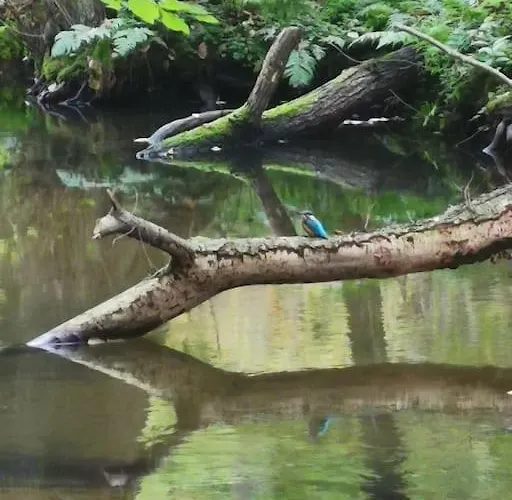 Gute Stube Im Schlaubetal Grunow-Dammendorf