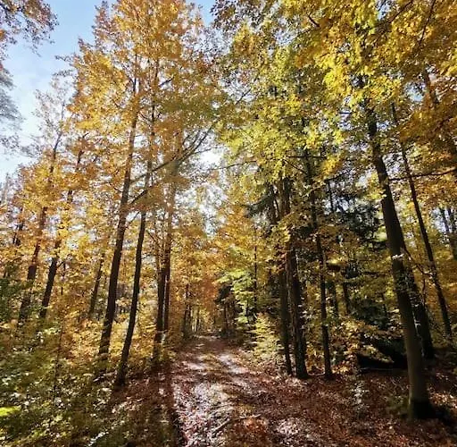 Gute Stube Im Schlaubetal * Grunow-Dammendorf