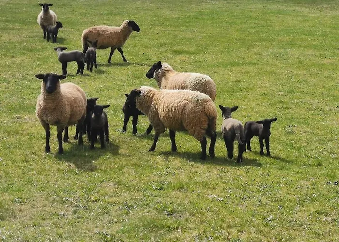 Lejlighed Gute Stube Im Schlaubetal Grunow-Dammendorf
